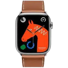 Apple Series 8 Hermes